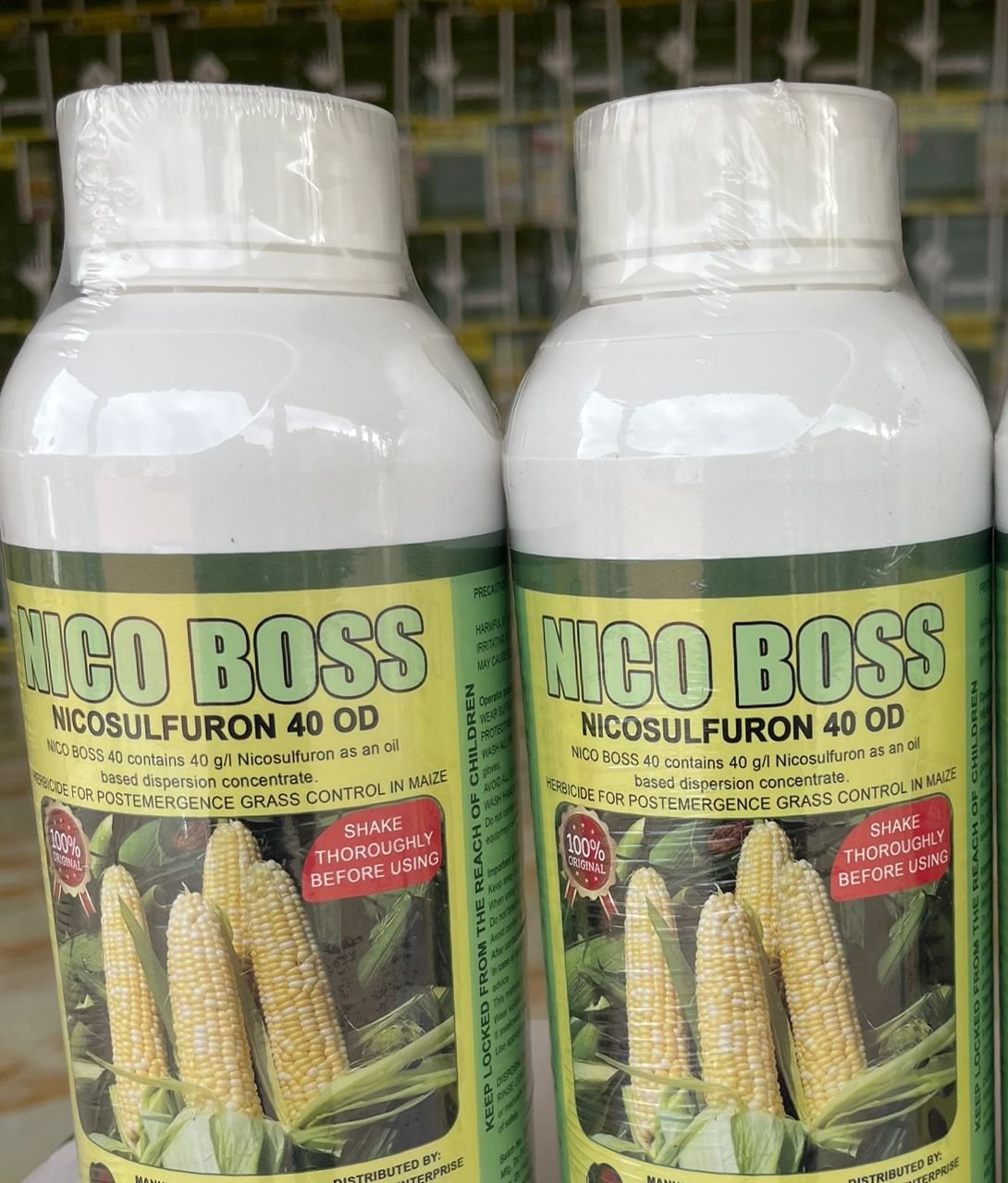 Nico Boss