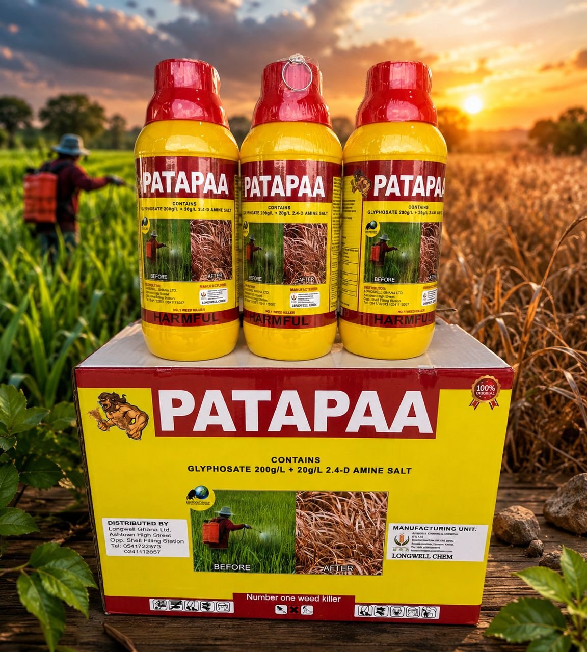 Patapaa